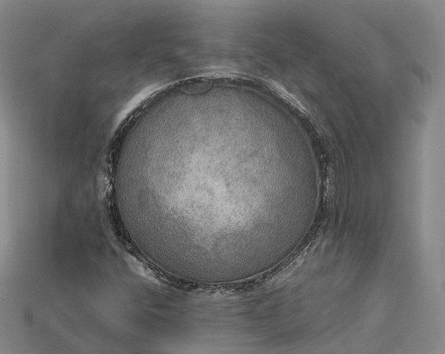 X0000115191400200911121812