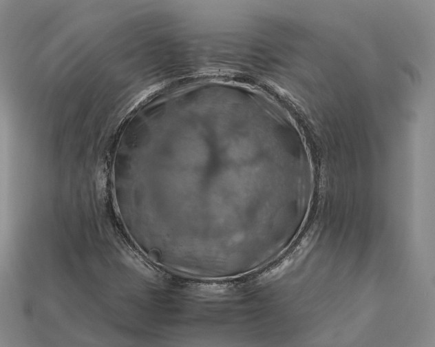 X0000115191401200911121812