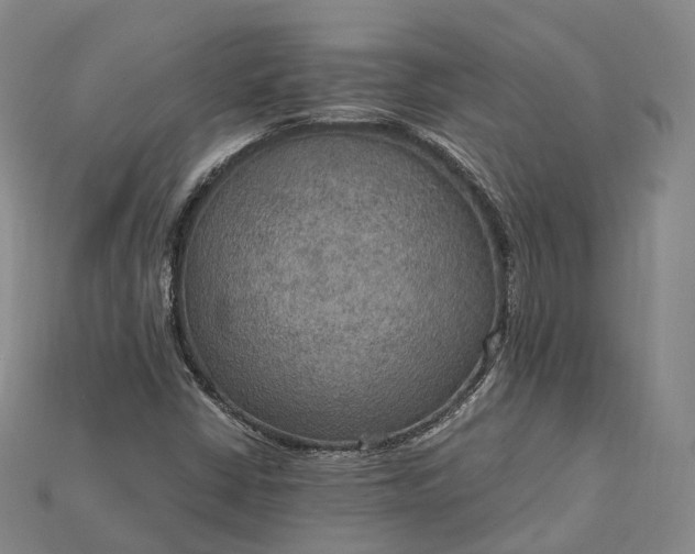 X0000115191402200911121812