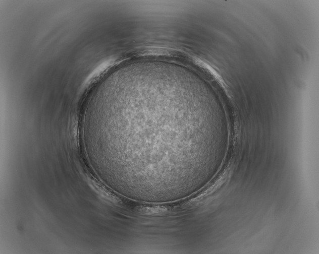 X0000115191403200911121812