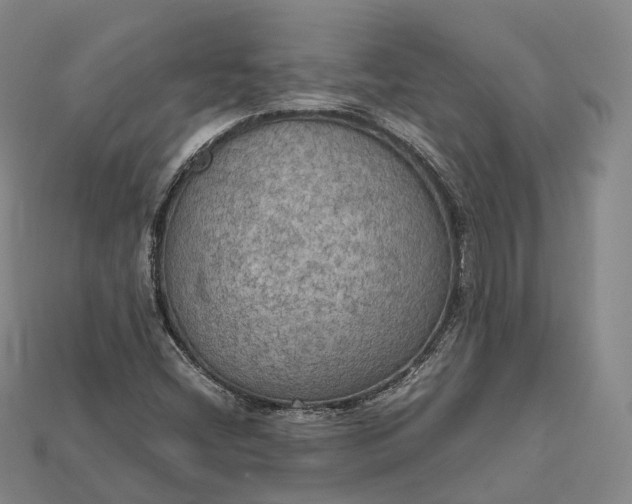 X0000115191404200911121812