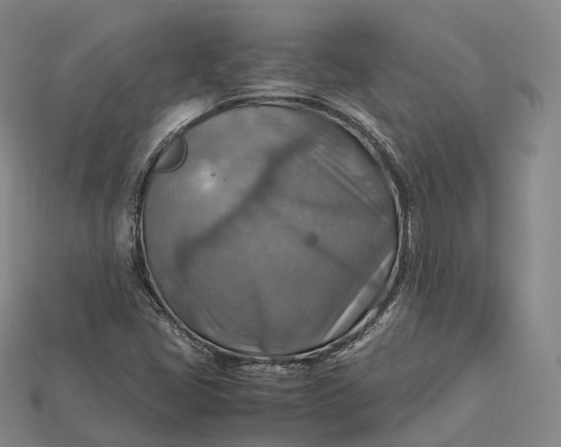 X0000115191405200911121812