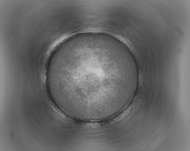 X0000115191406200911121812