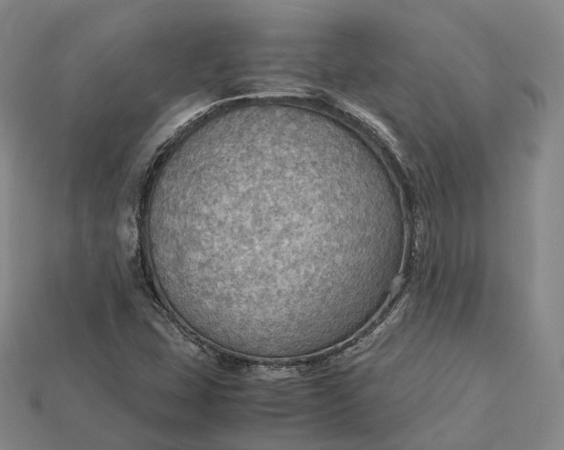X0000115191407200911121812