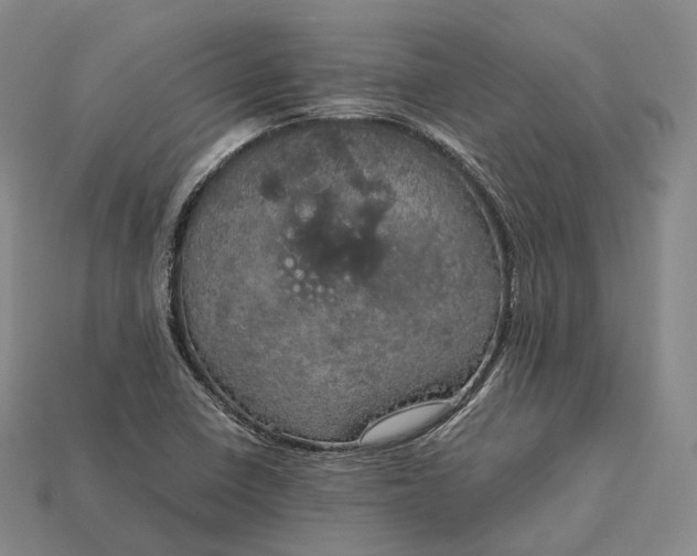 X0000115191410200911121812