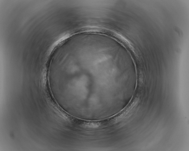 X0000115191411200911121812