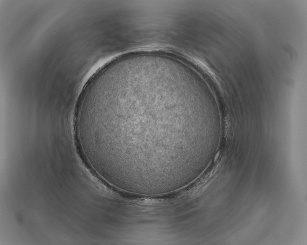 X0000115191412200911121812