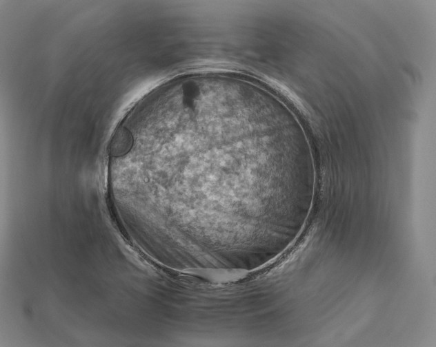 X0000115191413200911121812