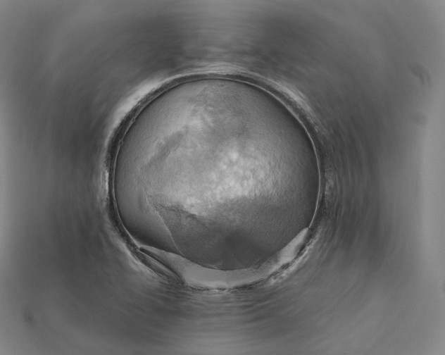 X0000115191414200911121813