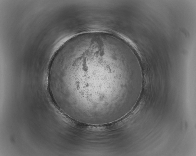 X0000115191415200911121813