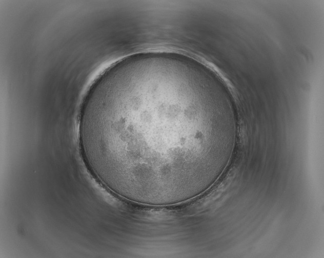 X0000115191416200911121813