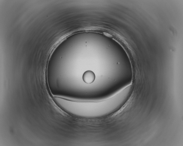 X0000115191417200911121813