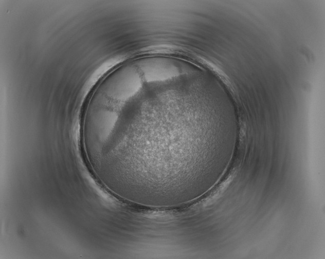 X0000115191418200911121813