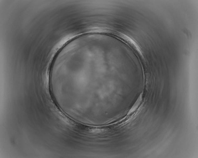 X0000115191419200911121813