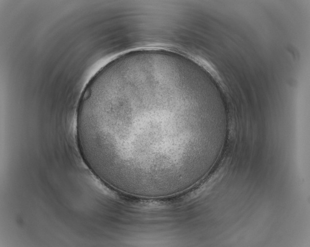 X0000115191420200911121813