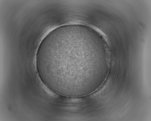 X0000115191423200911121813