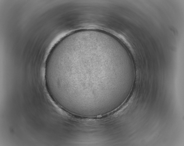 X0000115191424200911121813