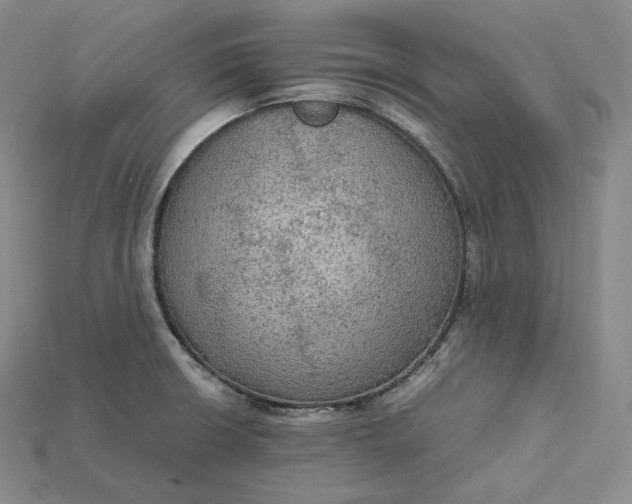 X0000115191426200911121813