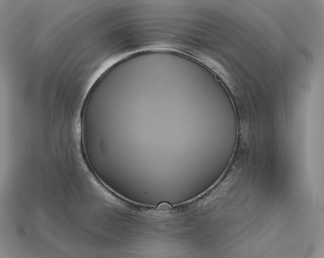 X0000115191428200911121813