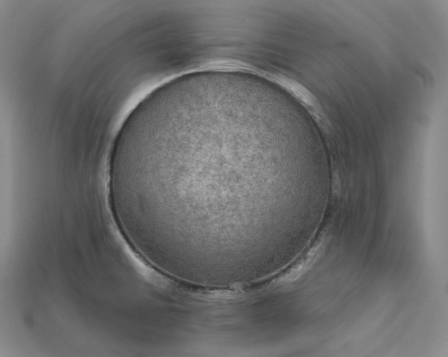 X0000115191430200911121813