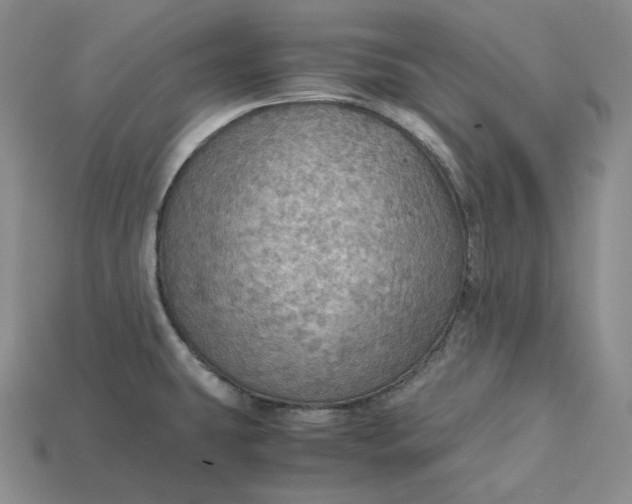X0000115191431200911121813