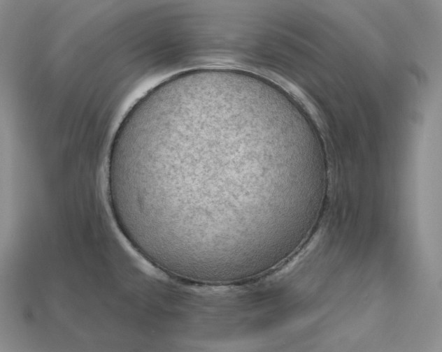 X0000115191432200911121813