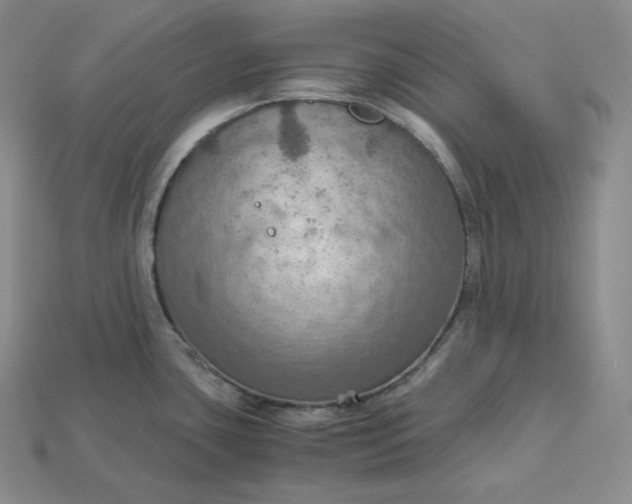 X0000115191435200911121813