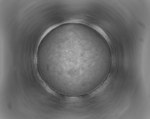 X0000115191436200911121813
