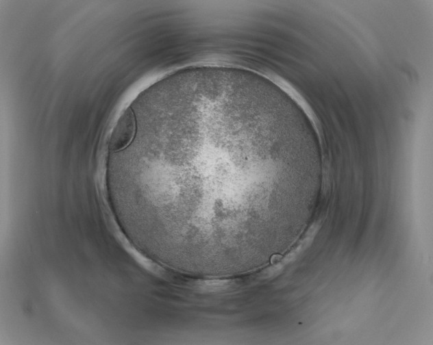 X0000115191437200911121813