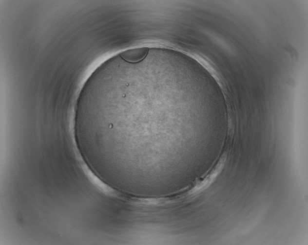 X0000115191438200911121813