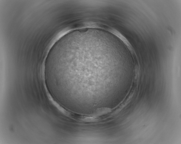 X0000115191439200911121813