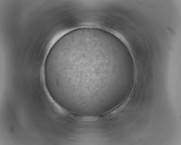 X0000115191440200911121813