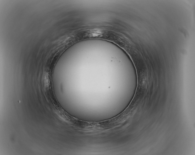 X0000115191442200911121812