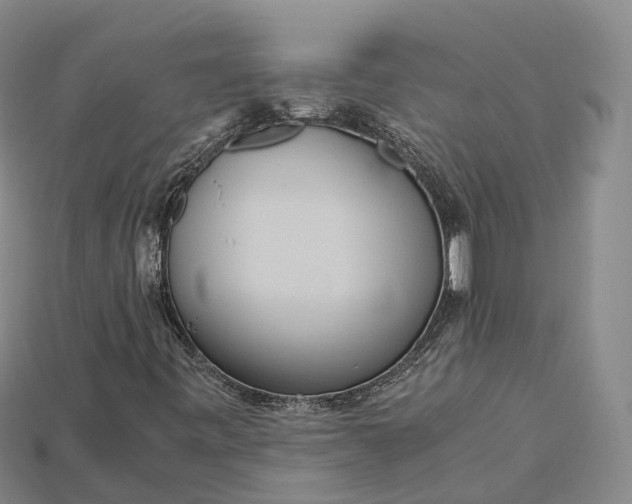 X0000115191443200911121812