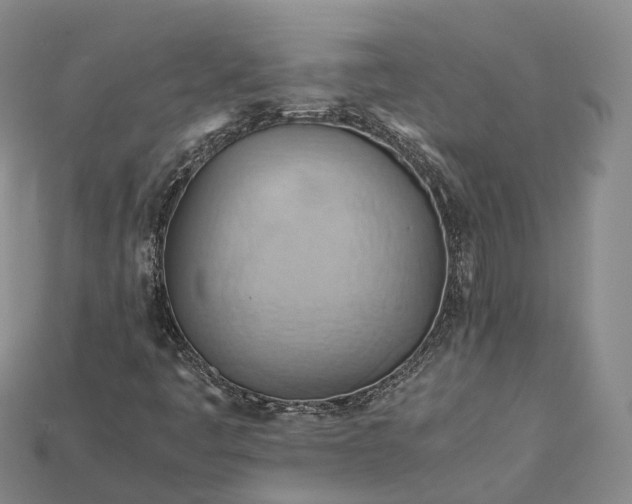 X0000115191445200911121812