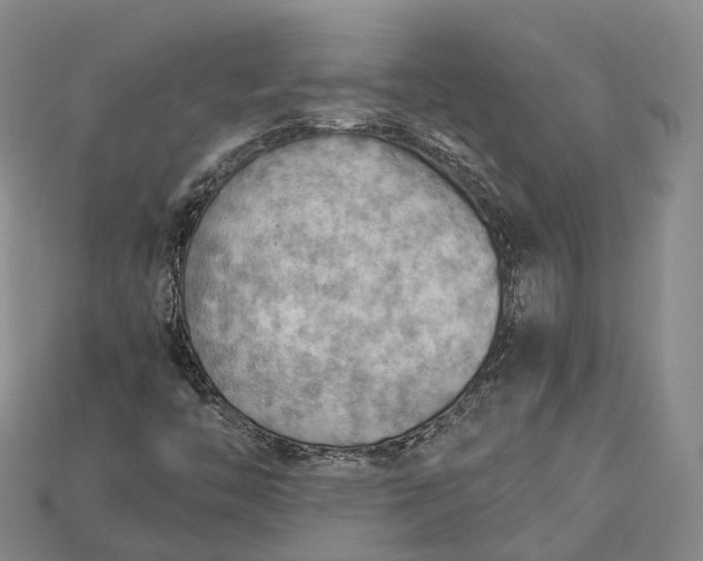 X0000115191446200911121812