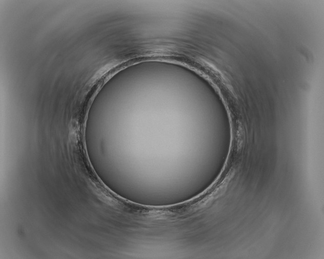 X0000115191449200911121812