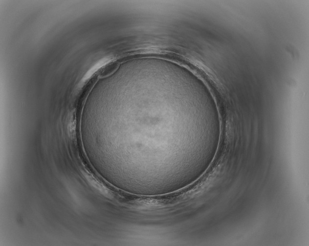 X0000115191450200911121812