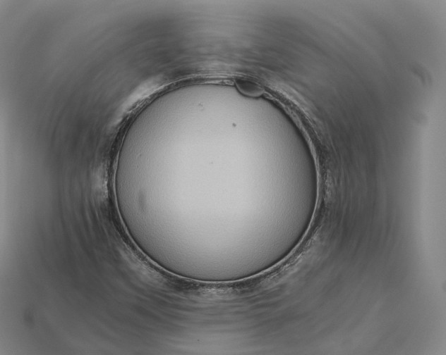 X0000115191451200911121812
