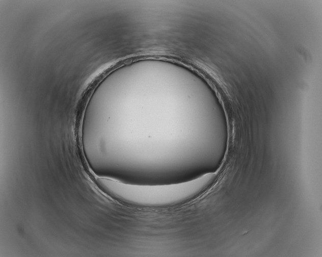 X0000115191452200911121812