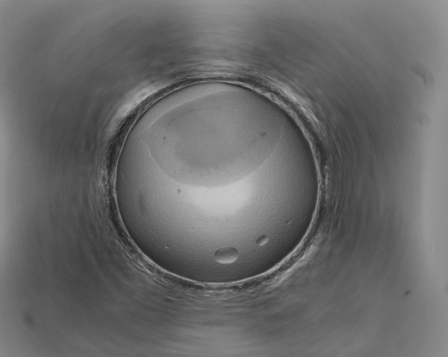 X0000115191453200911121812