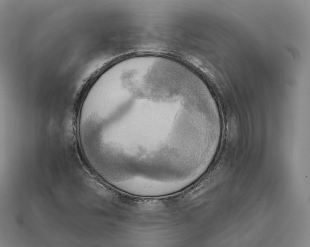 X0000115191454200911121812