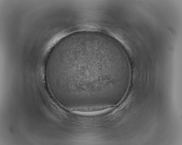 X0000115191455200911121812