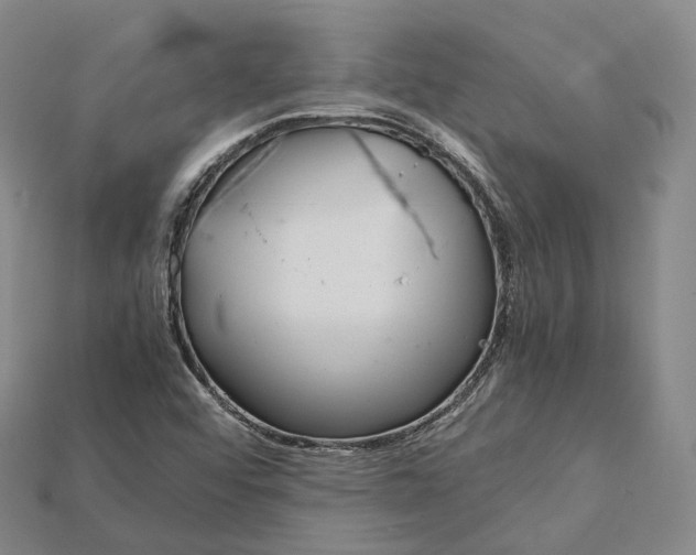 X0000115191456200911121812