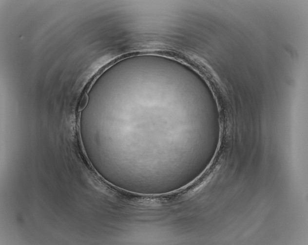 X0000115191457200911121812