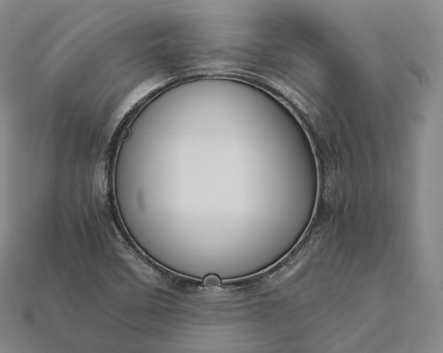 X0000115191458200911121812