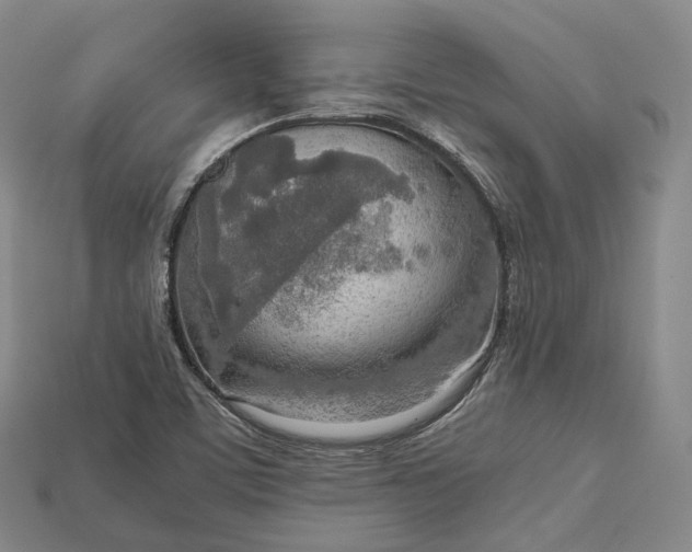 X0000115191459200911121812