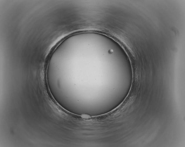 X0000115191460200911121812
