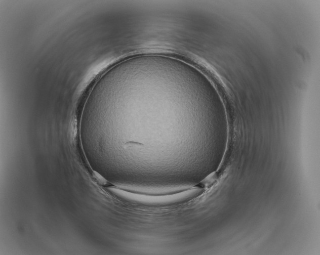 X0000115191461200911121812