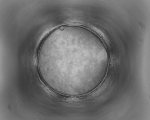 X0000115191462200911121812
